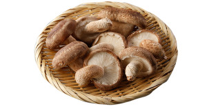 siitake